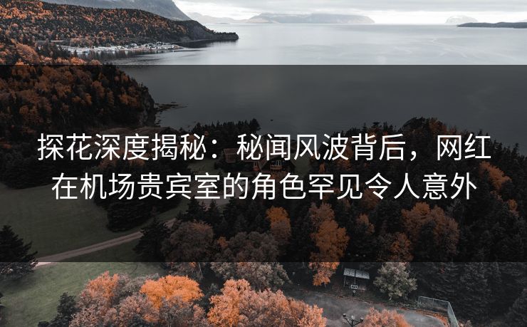 探花深度揭秘：秘闻风波背后，网红在机场贵宾室的角色罕见令人意外