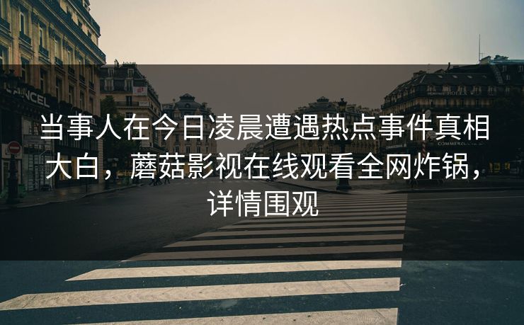 当事人在今日凌晨遭遇热点事件真相大白，蘑菇影视在线观看全网炸锅，详情围观