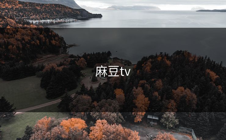 麻豆tv 麻豆tv